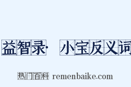 益智录·小宝反义词是什么意思的图片